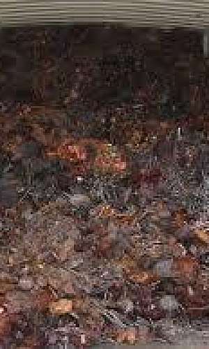 Fornecedores de Cobre Fornecedores de Cobre