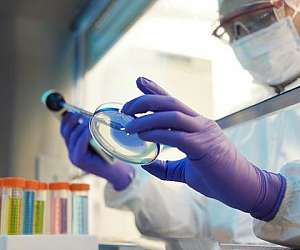 fungicida bactericida fungicida bactericida